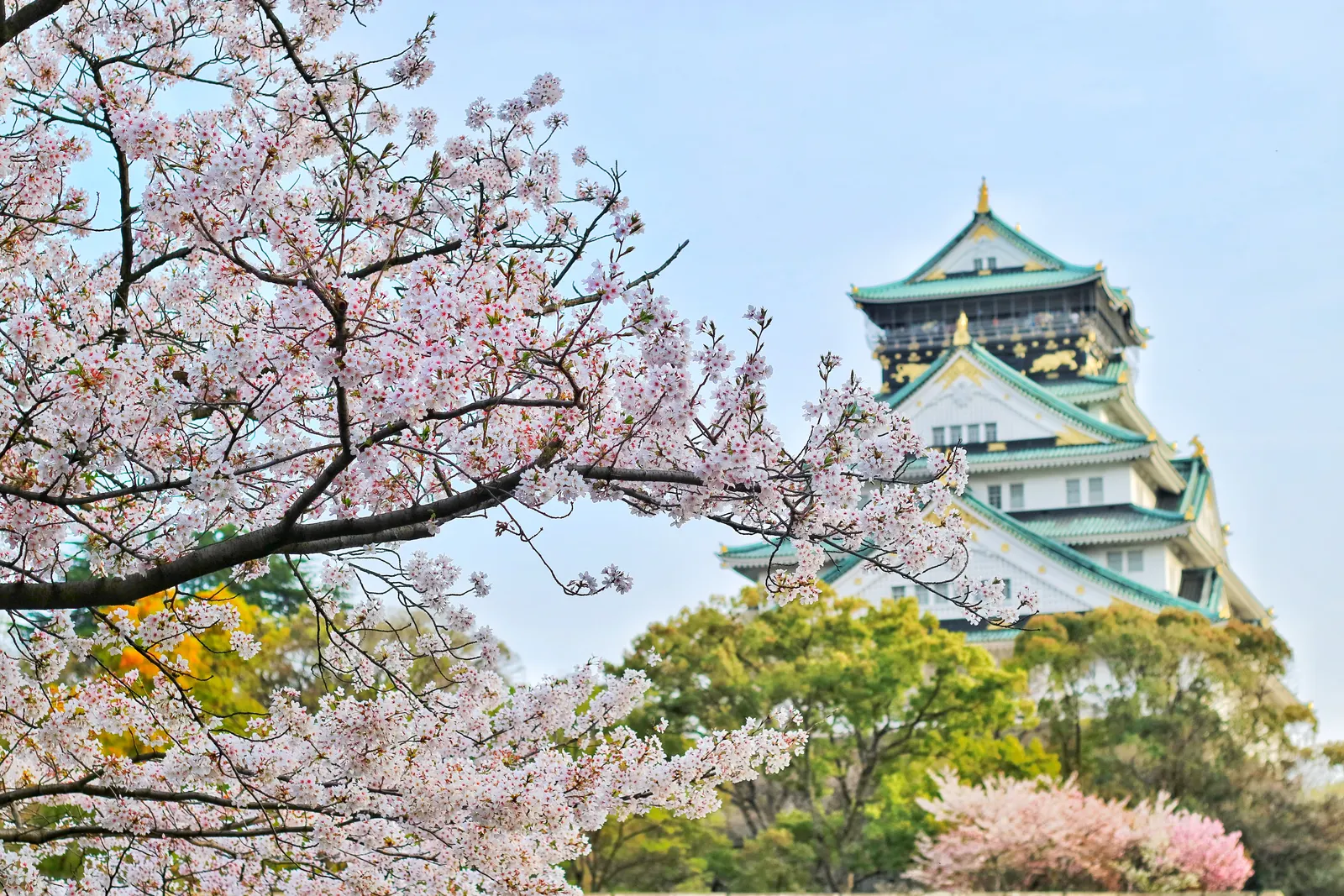 Japón