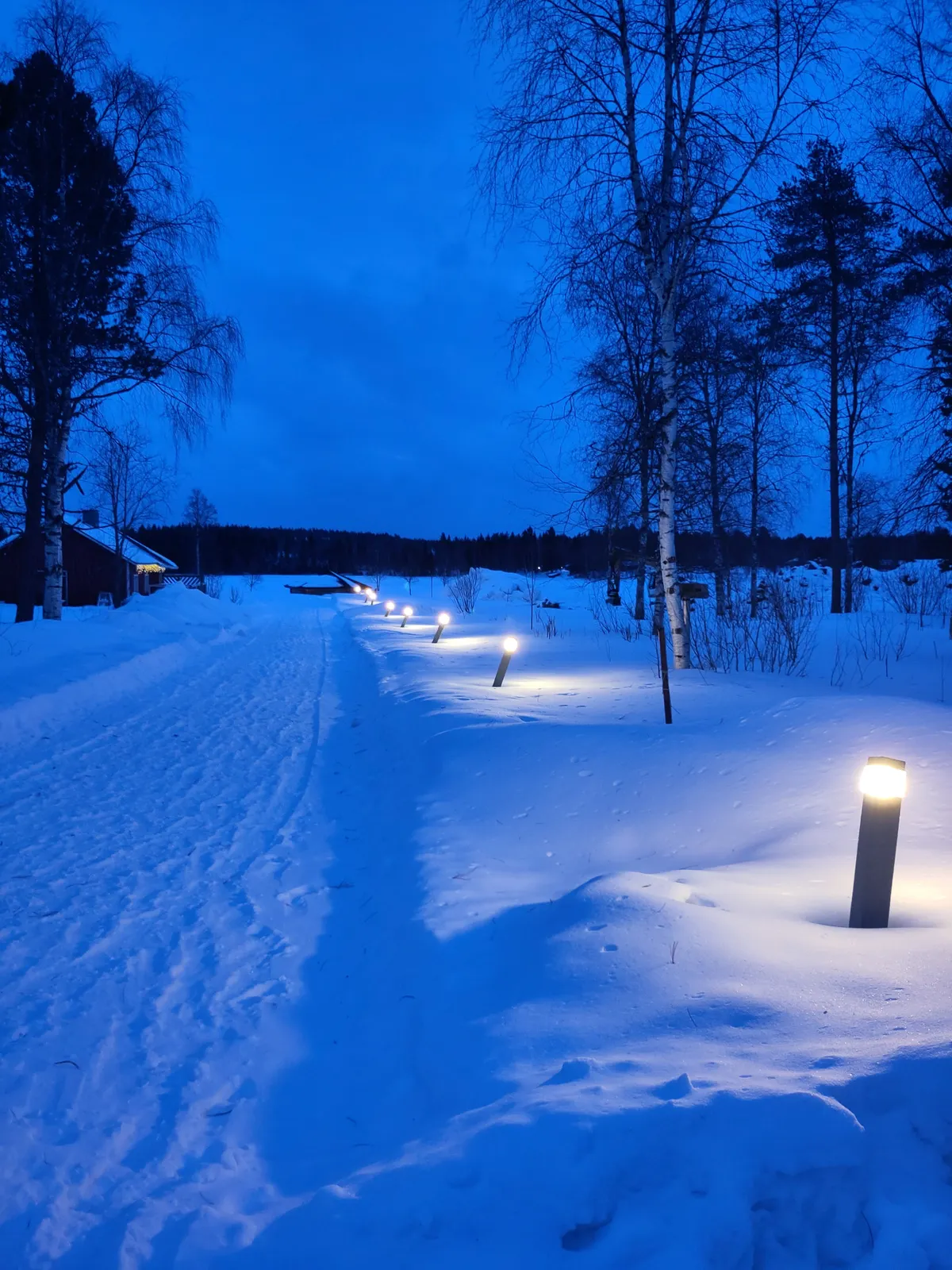 Camino nevado iluminado en Rovaniemi a la hora azul