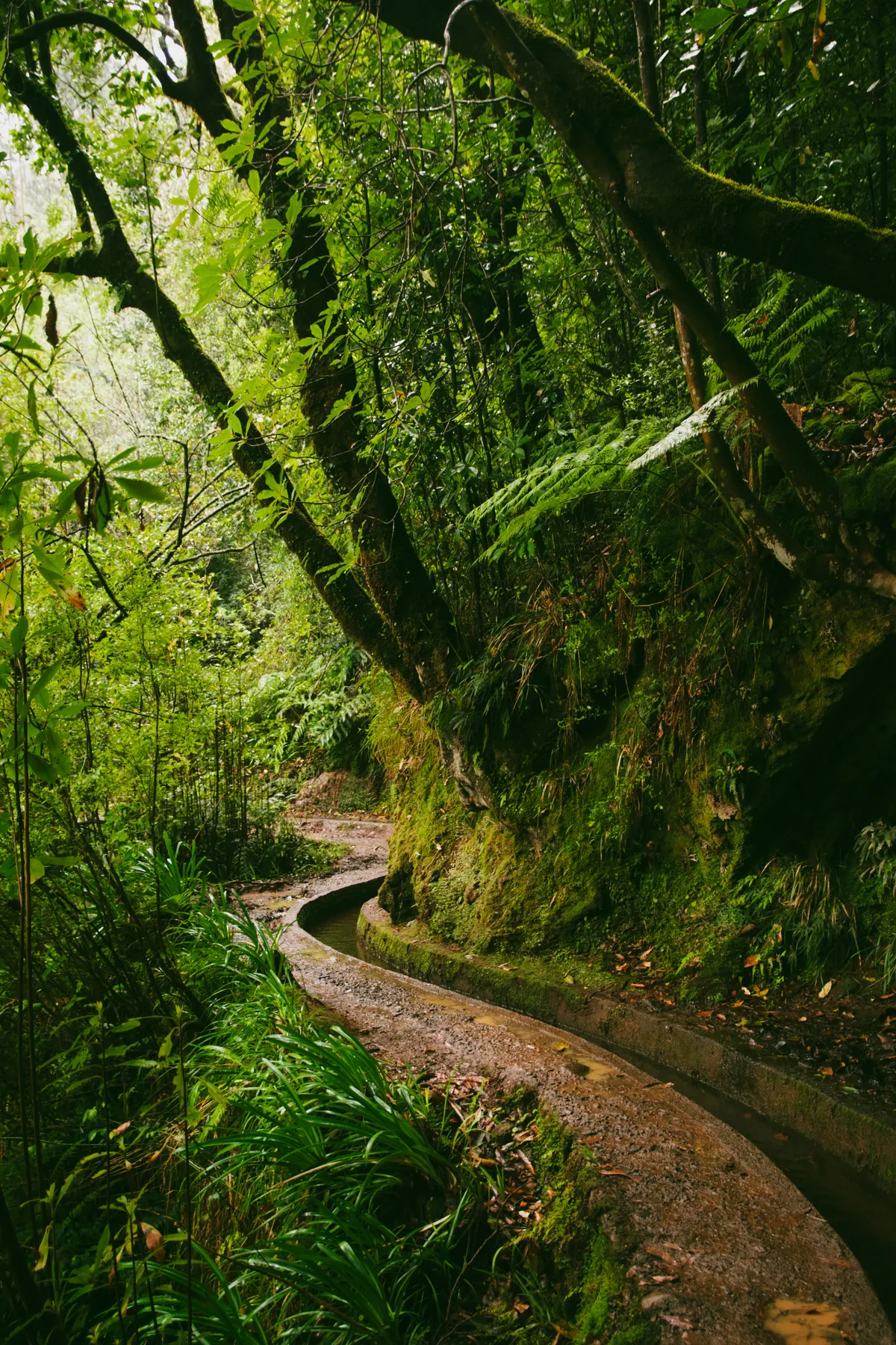 Día extra: una levada en Rabaçal